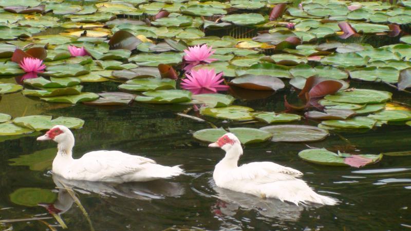 Nirvana Spiritual Retreat Gloucester Dış mekan fotoğraf